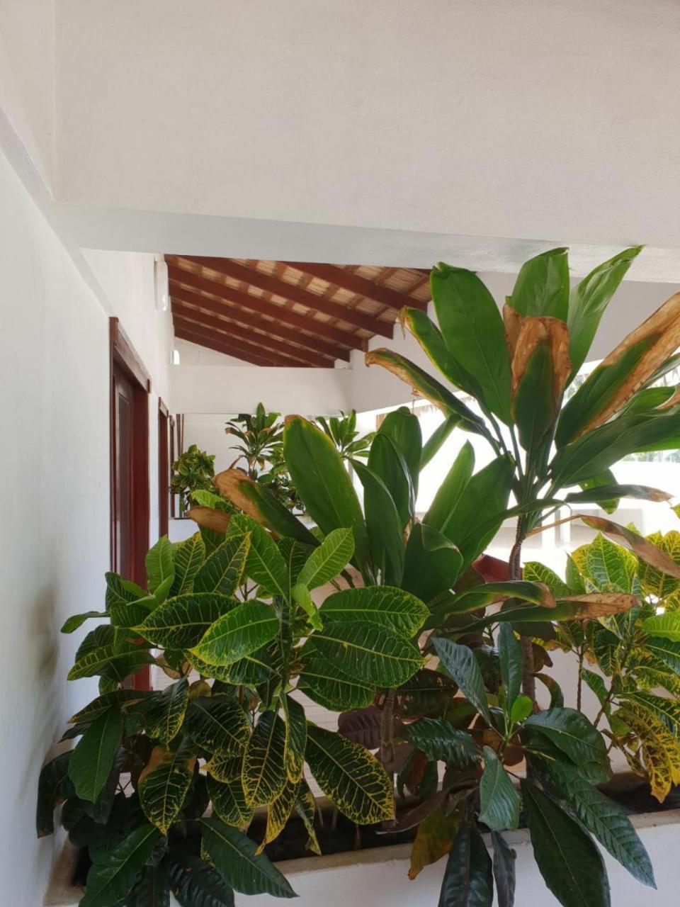 Oasi Encantada - Beach Resort Barahona Exteriör bild