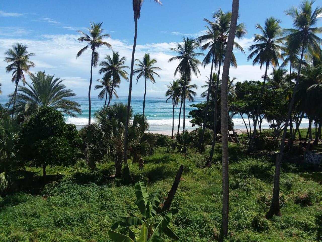 Oasi Encantada - Beach Resort Barahona Exteriör bild
